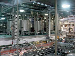 Ardmona tomato processing plant constructed entirely in stainless steel using grade 304.